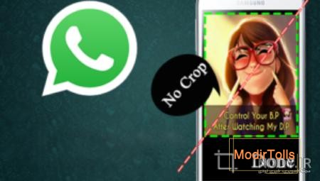 آموزش تغییر عکس پروفایل واتساپ + مخفی کردن آن - نوماوب