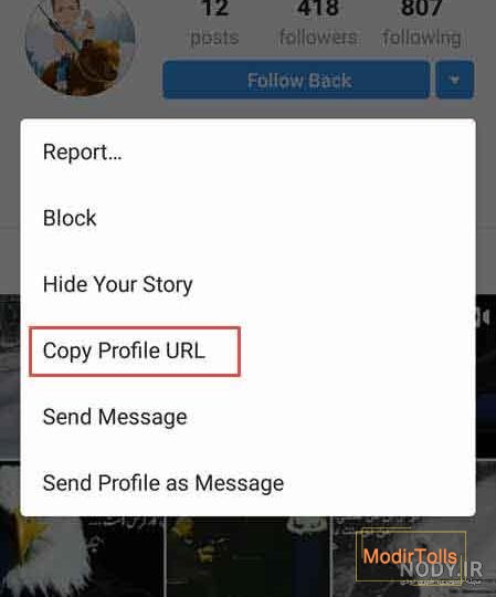 آموزش تنظیم بزرگ نشدن عکس پروفایل اینستاگرام (نسخه فارسی و انگلیسی) - انزل  وب
