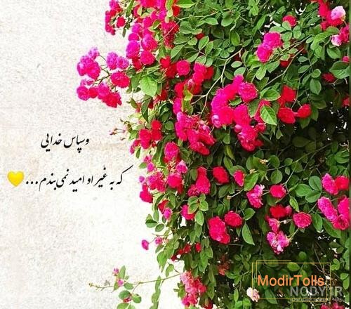 عکس پروفایل خدایا شکرت 2023 | خدایا شکرت برای نگاه پر مهرت | خدایا شکرت به  هزارویک دلیل