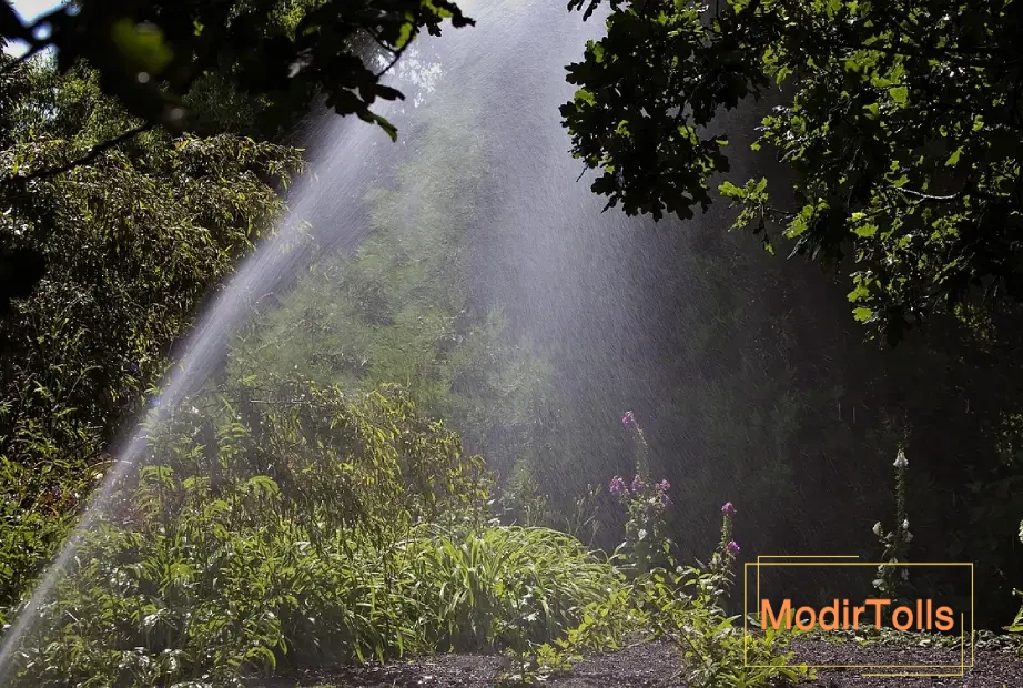 بهترین زمان آبیاری درختان در تابستان