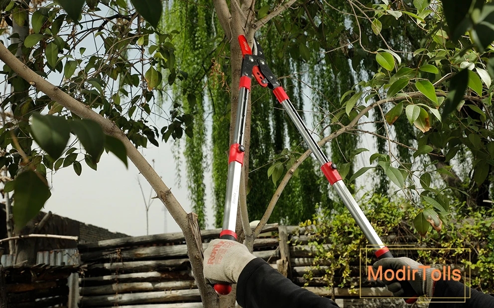 تصویر قیچی شاخهزن رونیکس