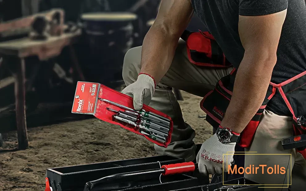 ست پیچ گوشتی  RH-2701