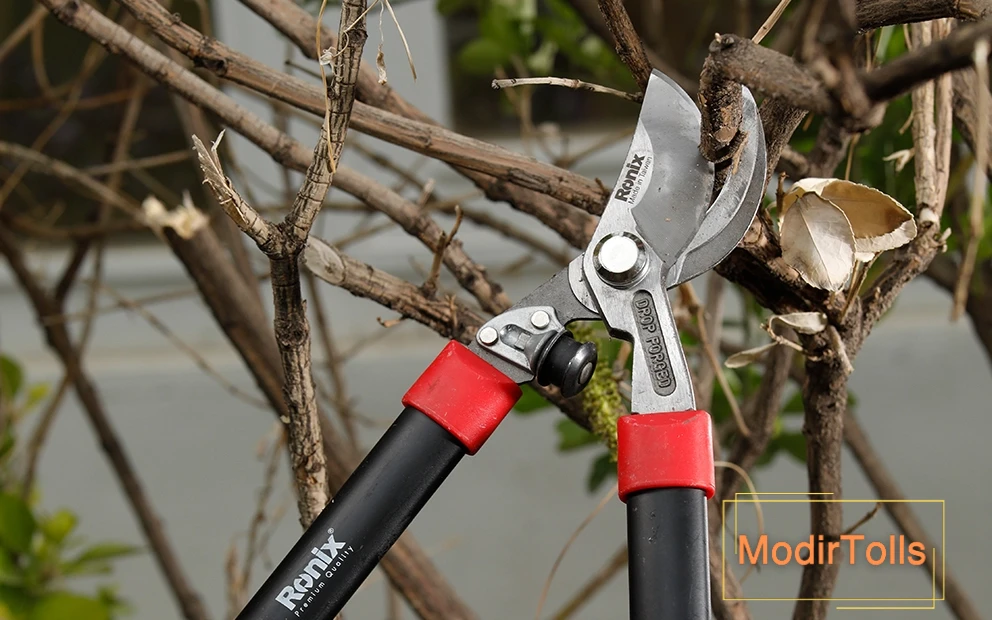 عکس  قیچی شاخه زن رونیکس