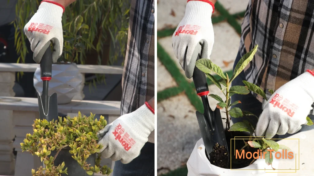 دستکش مناسب برای باغبانی؛دست‌هایی سالم، باغی پرثمر