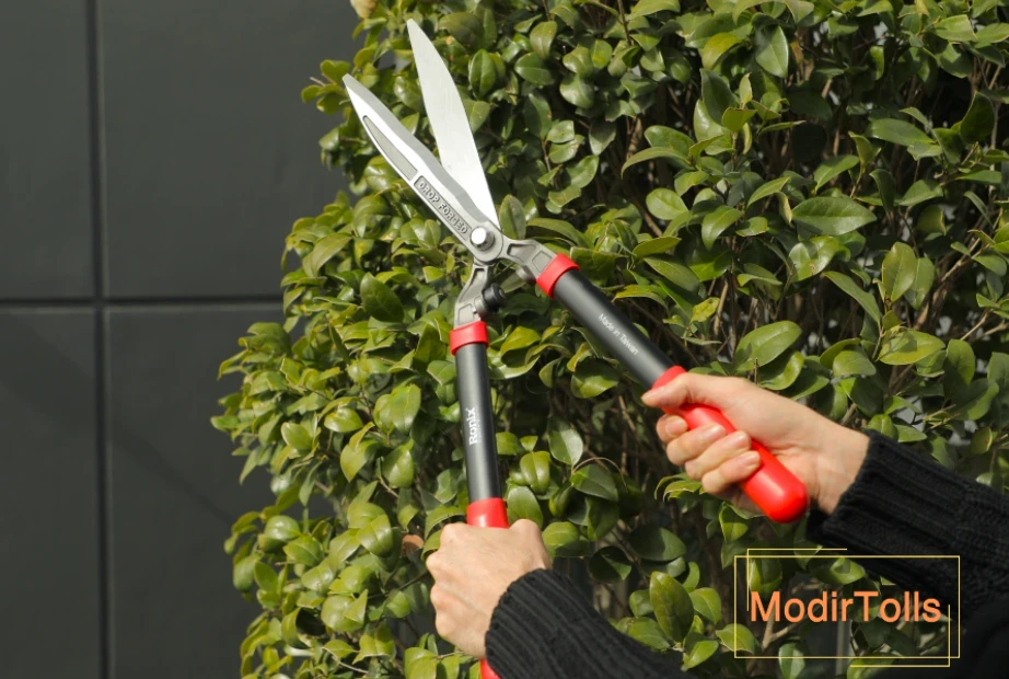 قیچی شمشاد زن رونیکس RH-3110