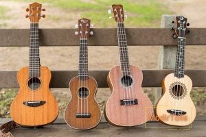 آیا جنس فرت ها درگیتار از نقره است؟