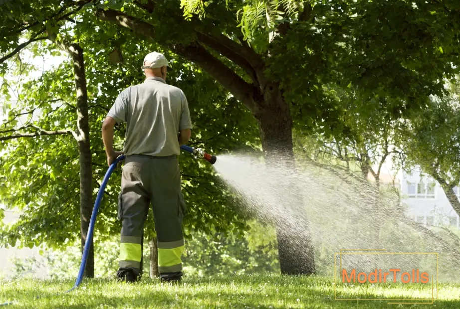 آبیاری درختان با شلنگ