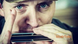 انواع ساز دهنی