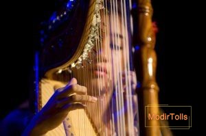 آشنایی با چنگ