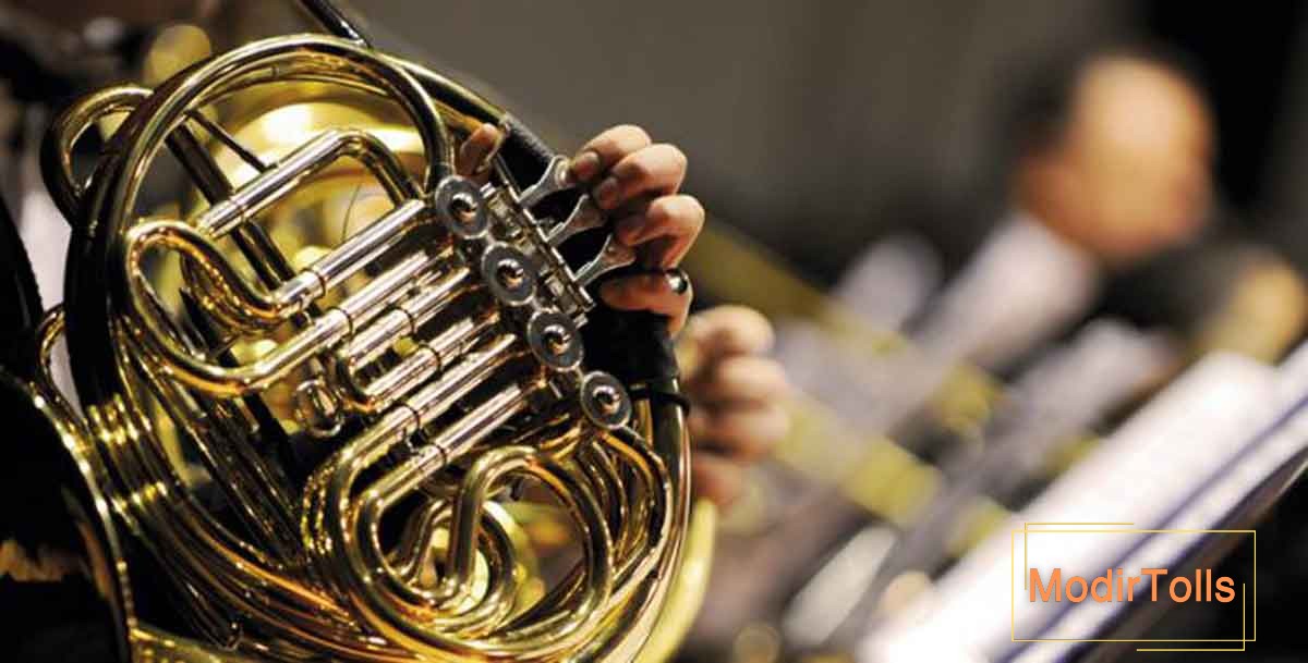 تاریخچه تکامل ساز هورن