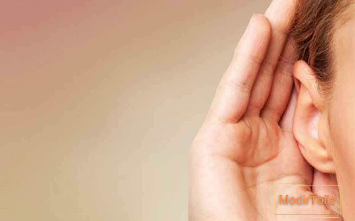 موزیکالیته به چه معناست؟