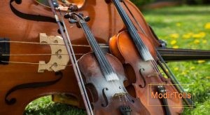 یادگیری ویلون راحت تر است یا ویولنسل؟