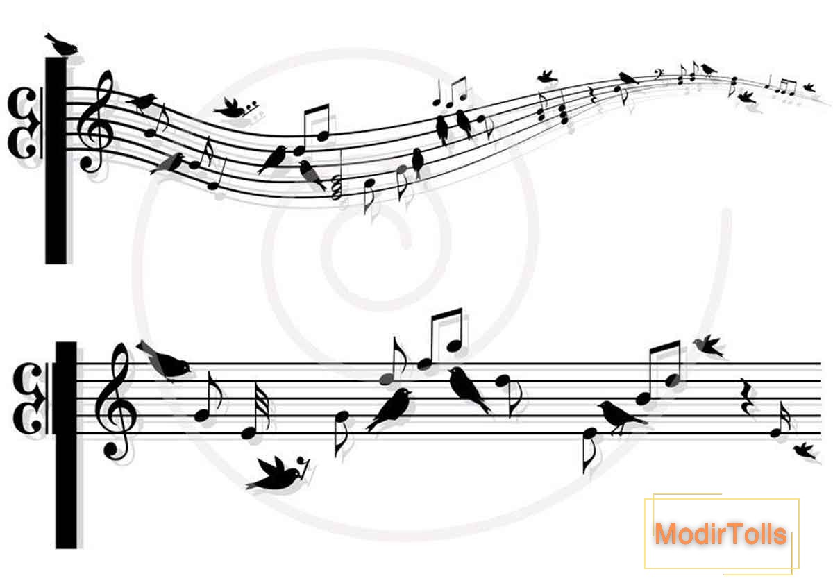 آشنایی کامل با فرم واریاسیون