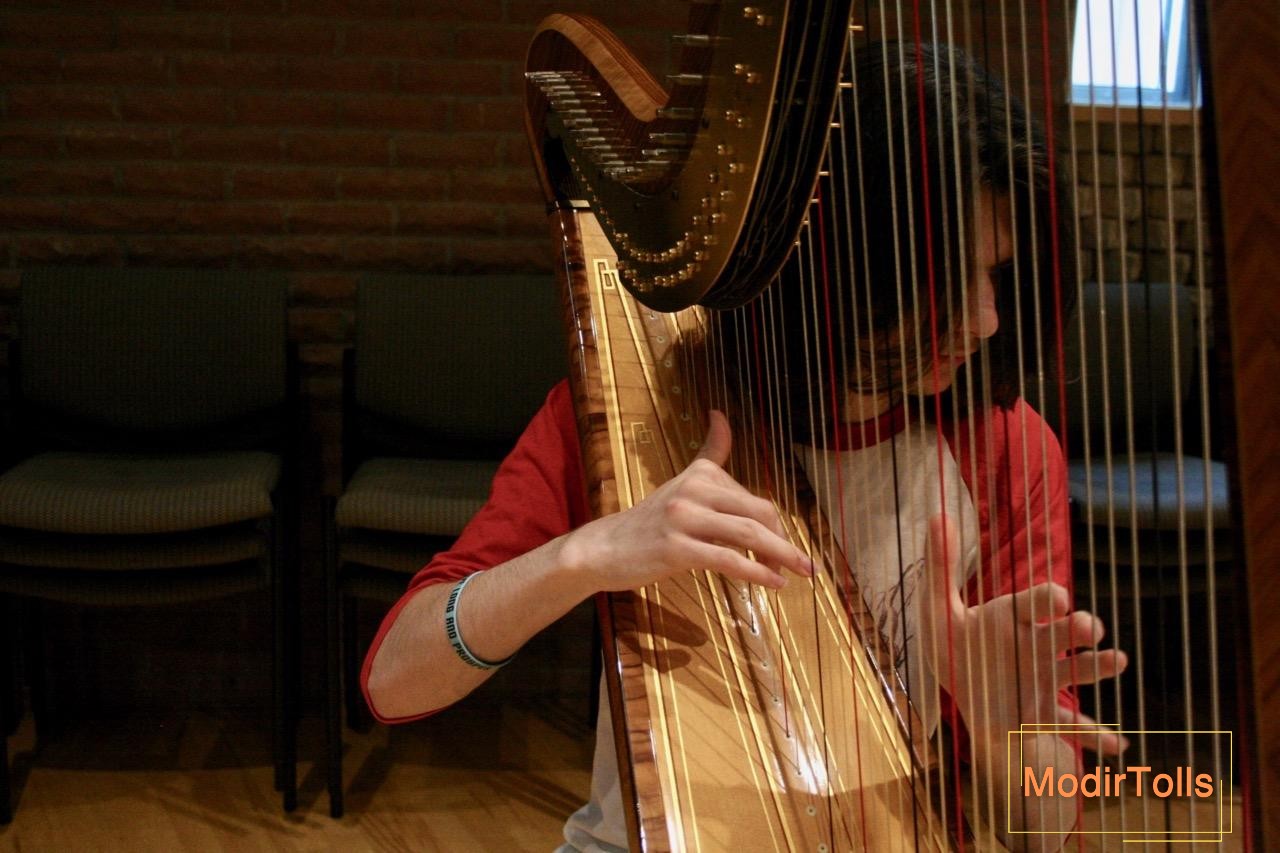 همه چیز درباره ساز چنگ