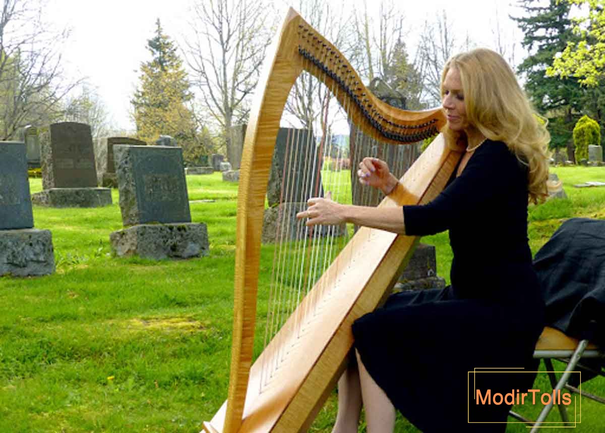 ساز ها و زیرشاخه های سبک نیو ایج