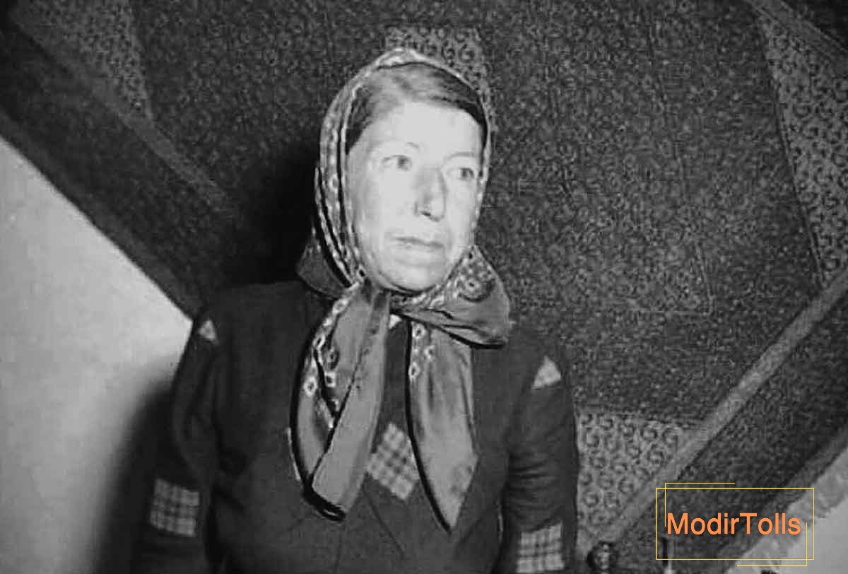 قمرالملوک وزیری