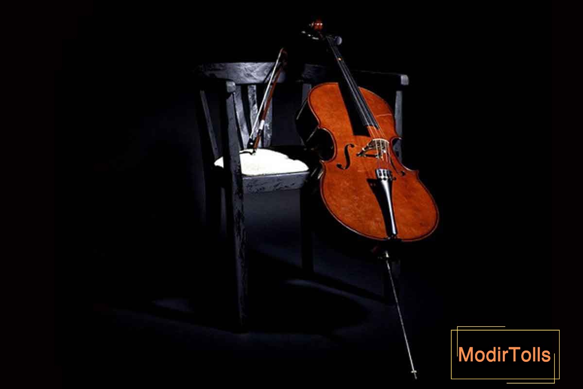 بهترین آموزشگاه ویولنسل در شرق تهران