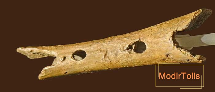 قدیمی ترین ساز دنیا