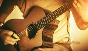 آیا جنس چوب گیتار بر صدای ساز تاثیر می گذارد؟