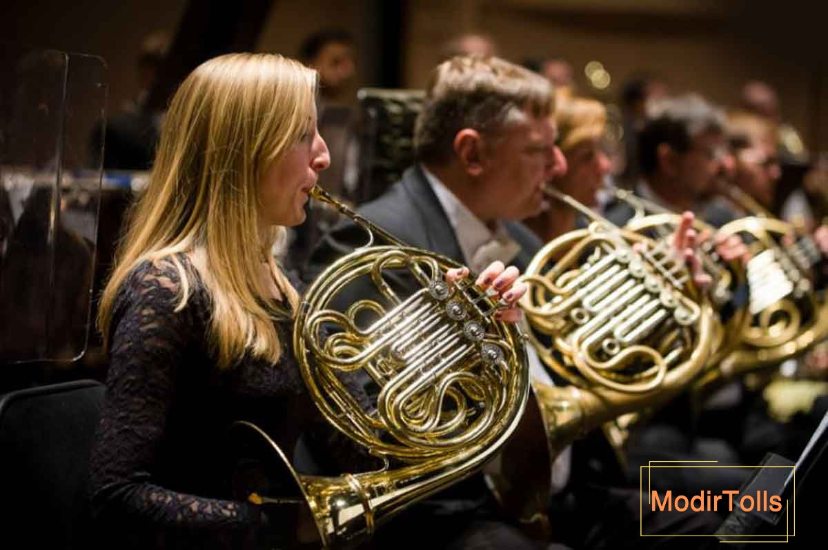 آشنایی با ساز حلزونی هورن