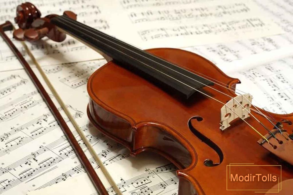 چرا کلاس سلفژ برای یادگیری ویولن ضروری است؟