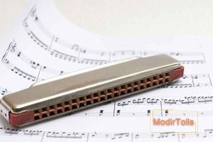 آشنایی با سازدهنی ترمولو