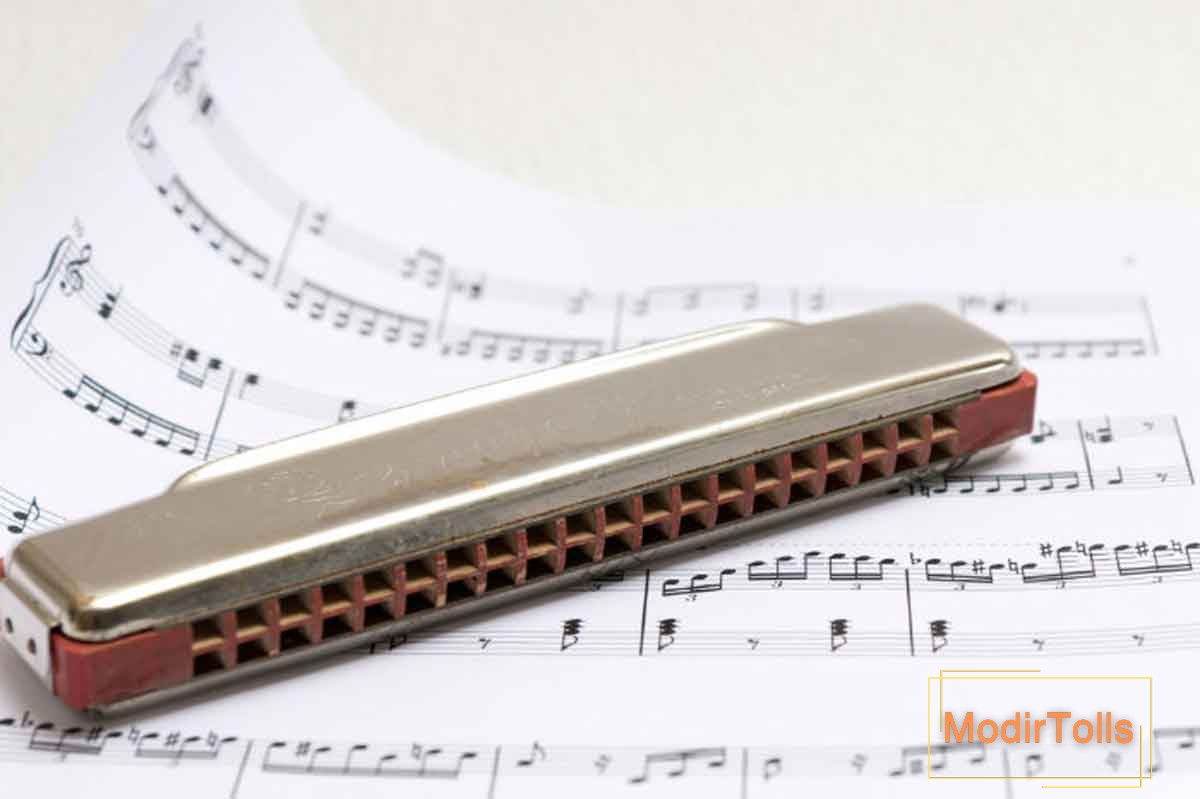 آشنایی با سازدهنی ترمولو