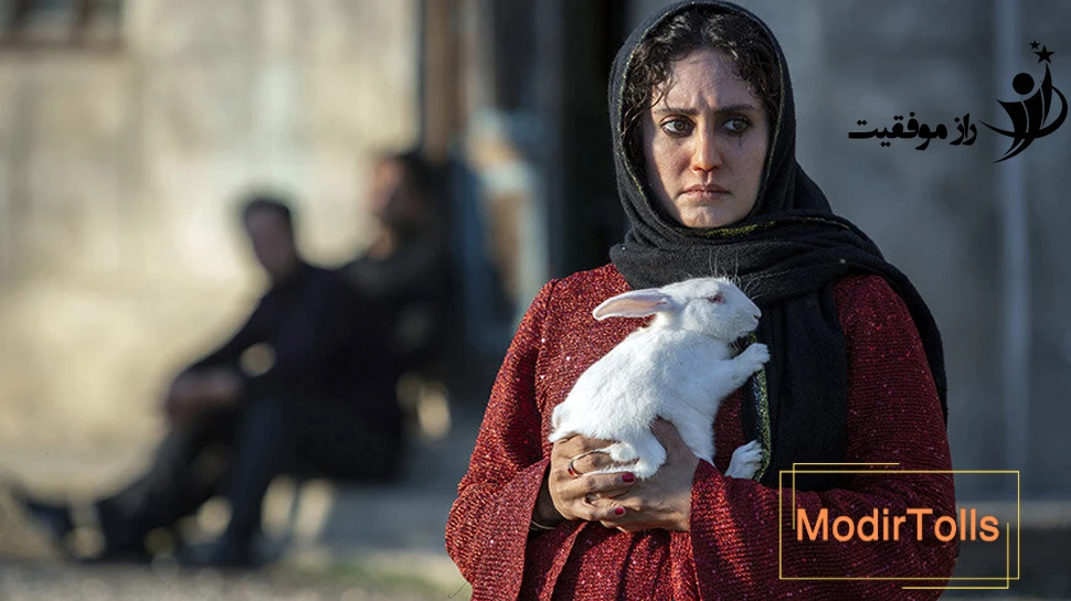 فیلم شناسی الناز شاکردوست